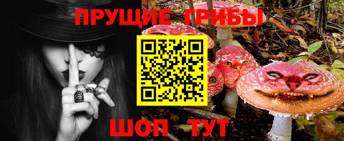 Псилоцибиновые грибы прущие грибы Борзя
